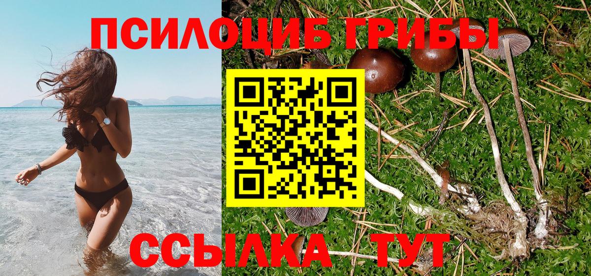 Галлюциногенные грибы Magic Shrooms  Псилоцибиновые грибы мицелий  Артём  где найти   Вход с VPN 